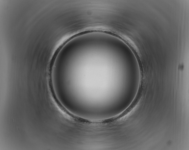 X0000091490989200708161435