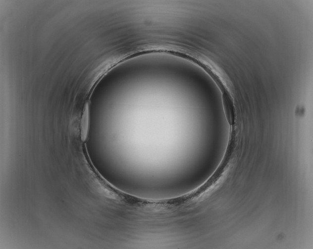 X0000091490993200708161435