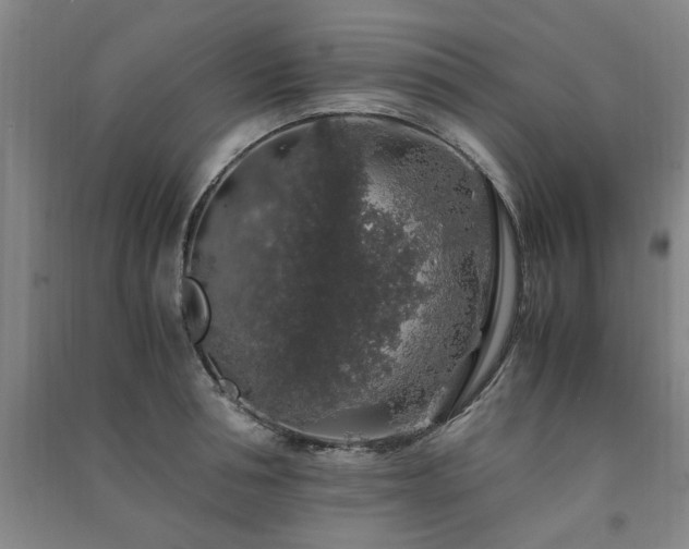 X0000091490994200708161435
