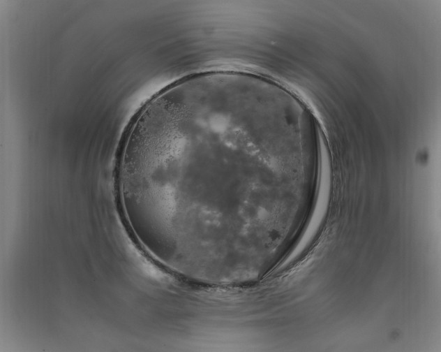 X0000091490995200708161435