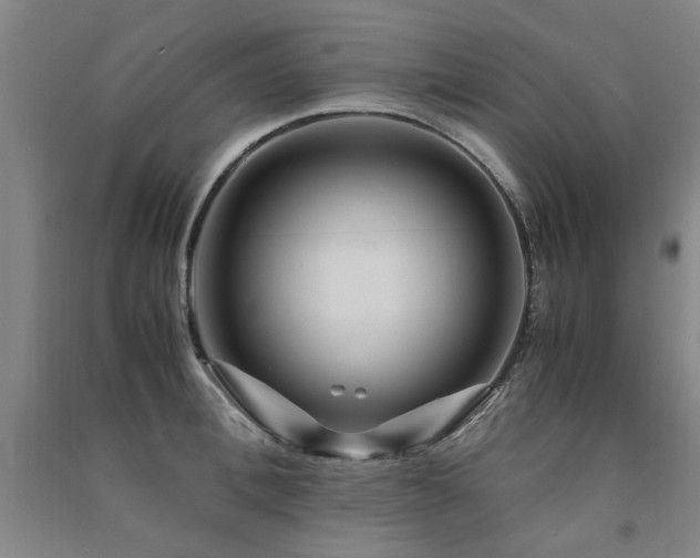 X0000091490996200708161435