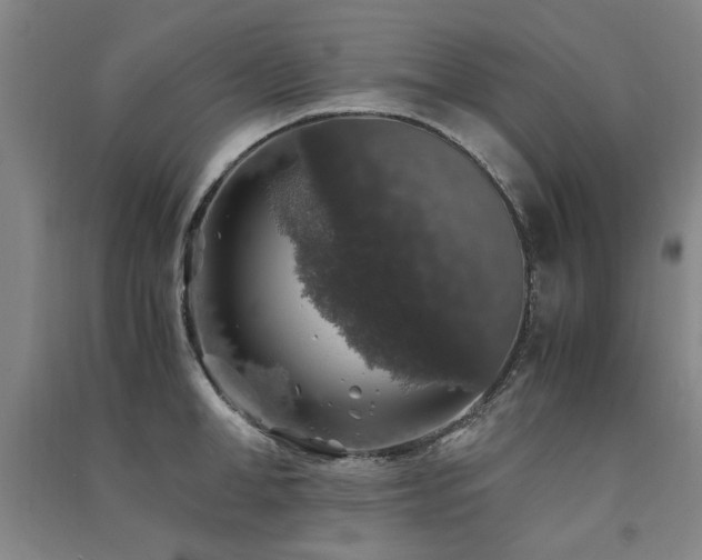 X0000091490998200708161435