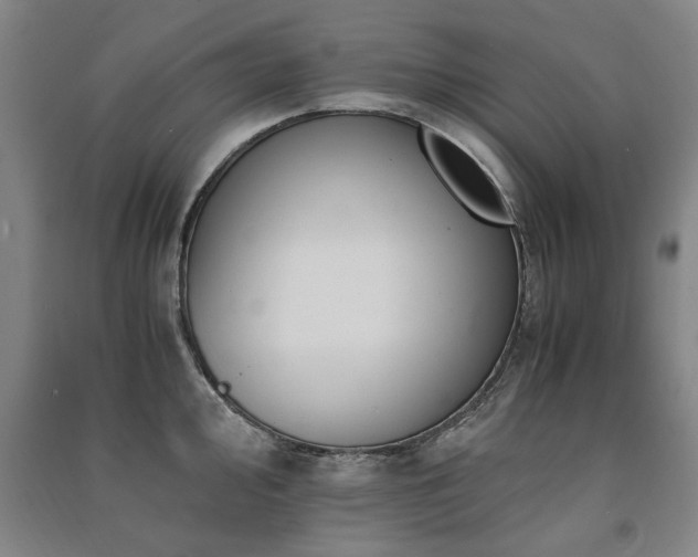 X0000091491000200708161435