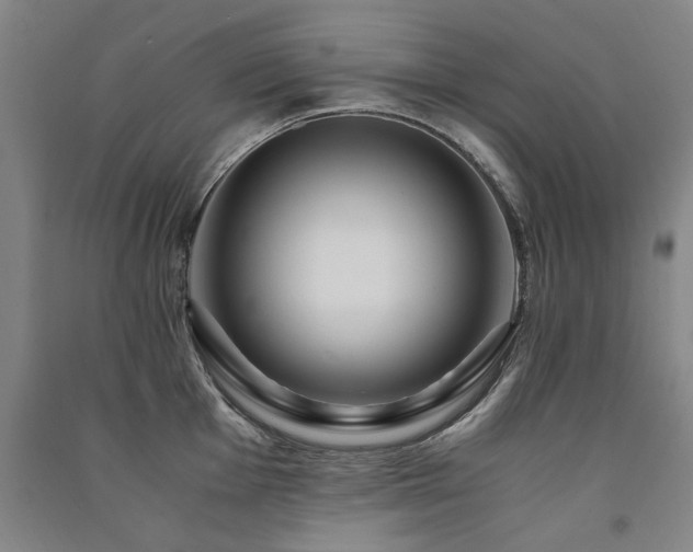 X0000091491001200708161435