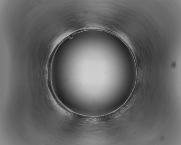 X0000091491003200708161435