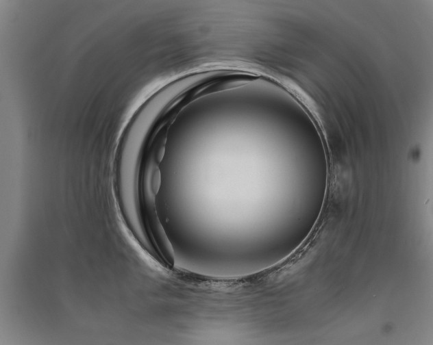 X0000091491005200708161435