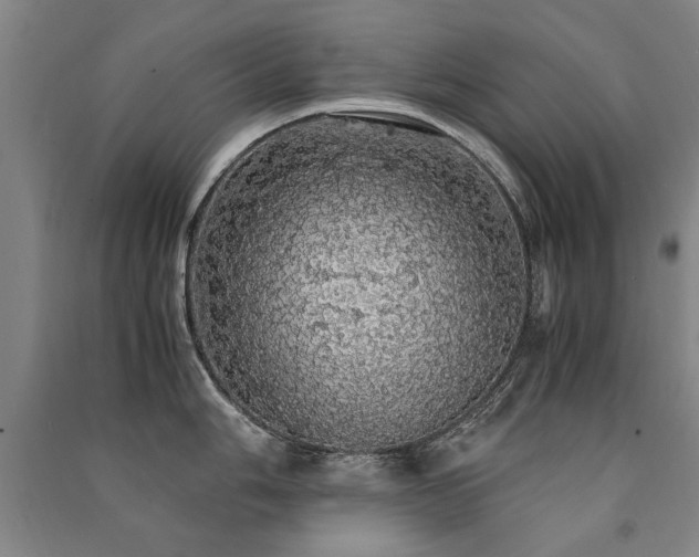 X0000091491006200708161435