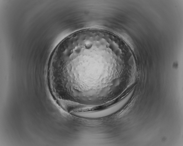 X0000091491007200708161435