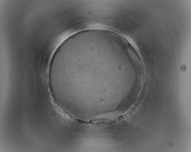 X0000091491008200708161435