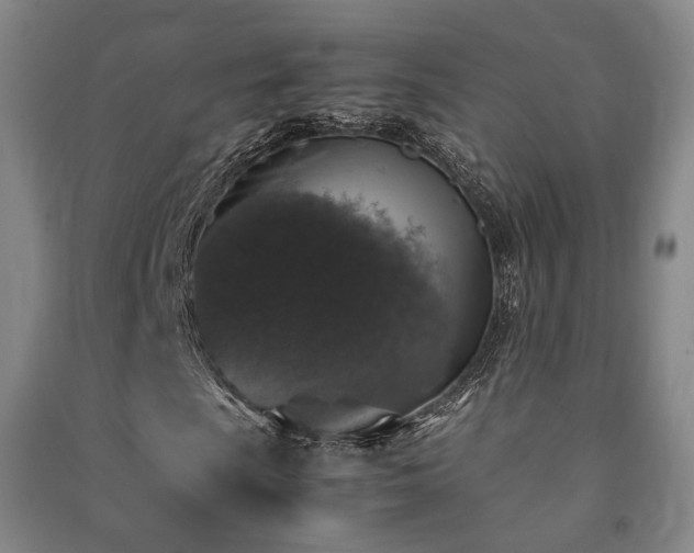 X0000091491009200708161434