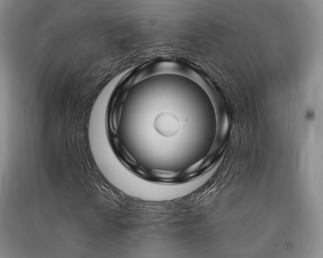 X0000091491010200708161434