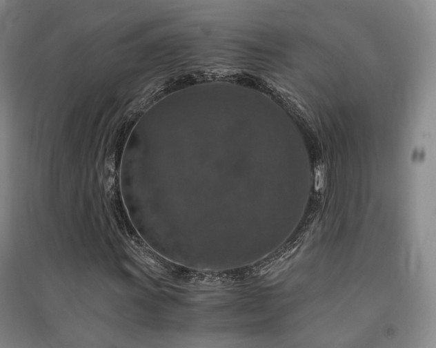 X0000091491011200708161434