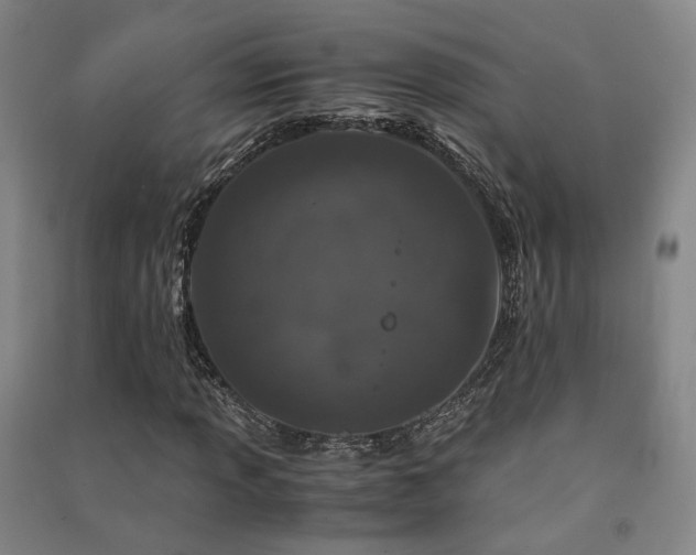 X0000091491013200708161434