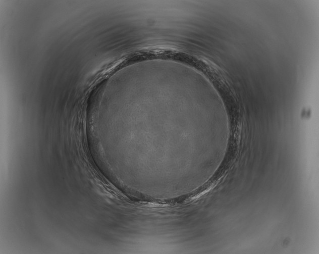 X0000091491014200708161434