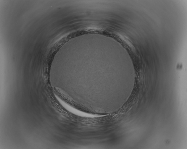 X0000091491015200708161434