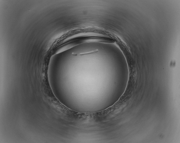 X0000091491016200708161434