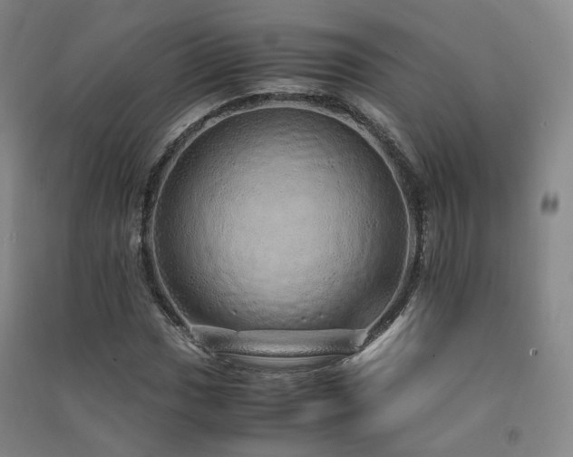 X0000091491017200708161434
