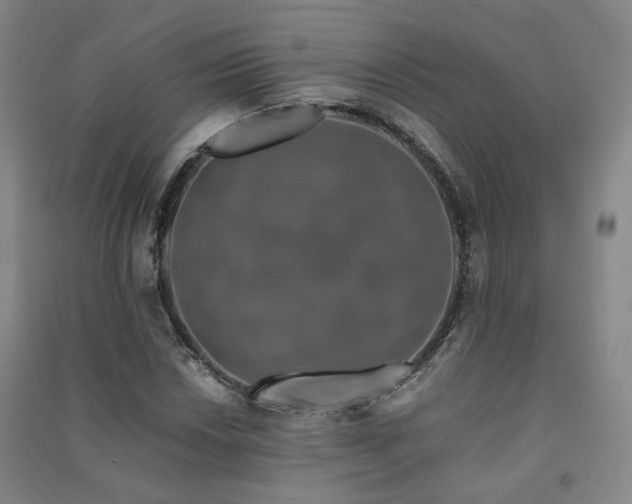 X0000091491018200708161434