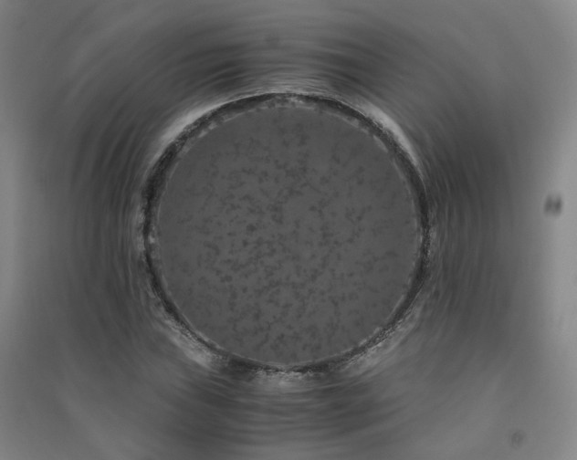 X0000091491019200708161434