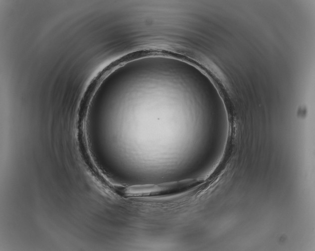 X0000091491020200708161434