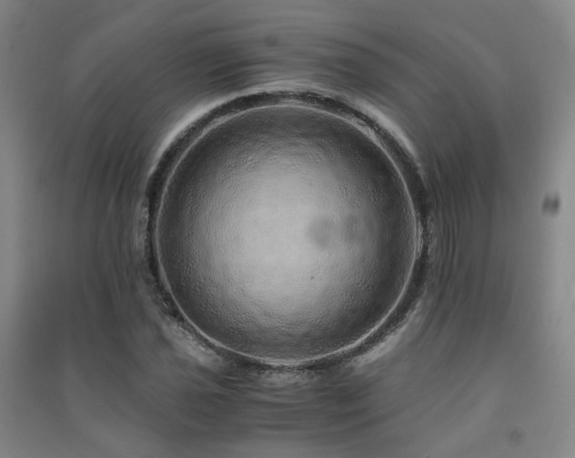 X0000091491021200708161434