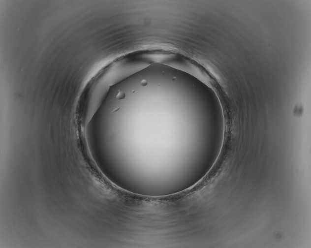 X0000091491022200708161434