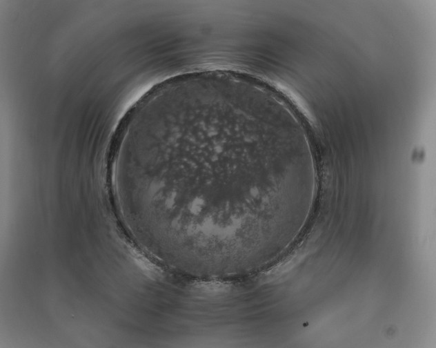 X0000091491023200708161434