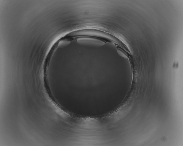X0000091491024200708161434