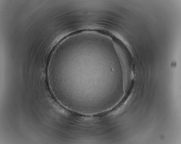 X0000091491025200708161434