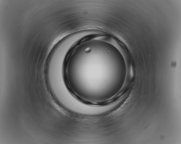 X0000091491026200708161434