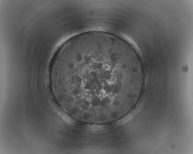 X0000091491027200708161434