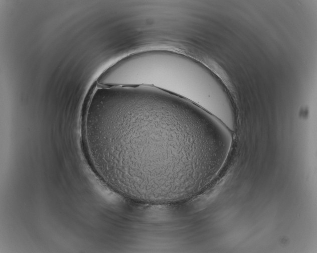 X0000091491028200708161434