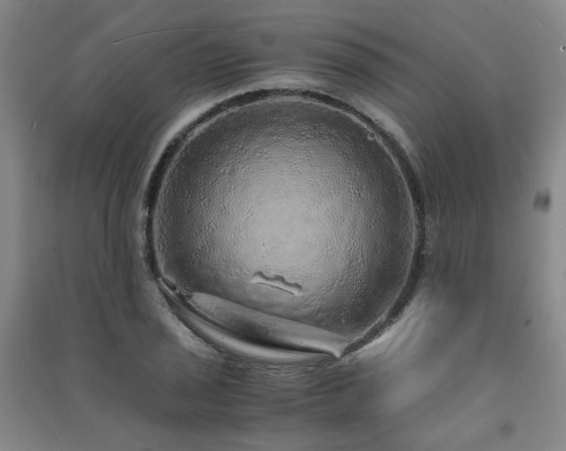 X0000091491029200708161434