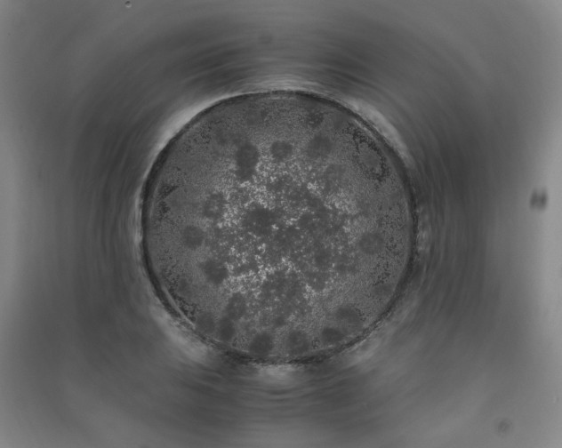 X0000091491031200708161434