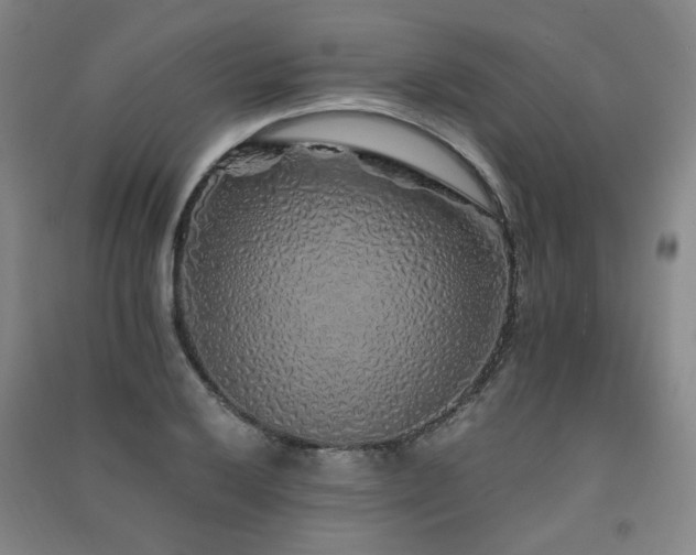 X0000091491032200708161434