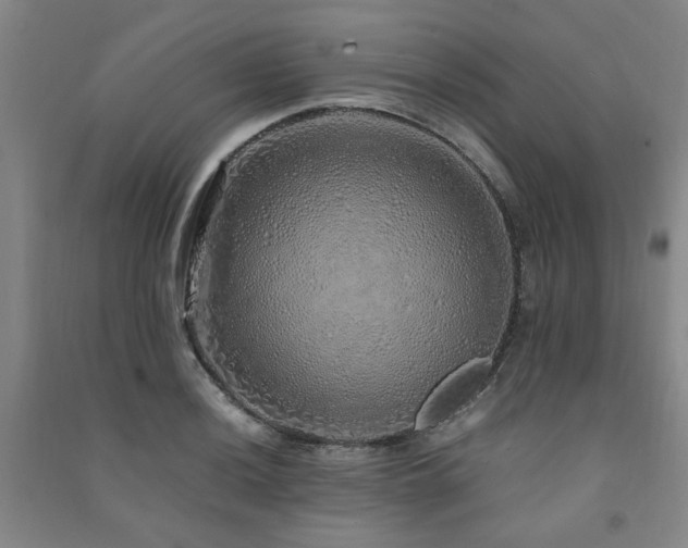 X0000091491036200708161434