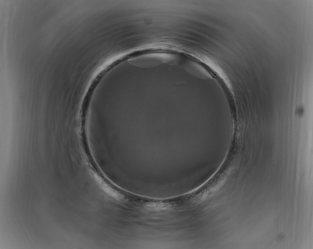X0000091491037200708161434