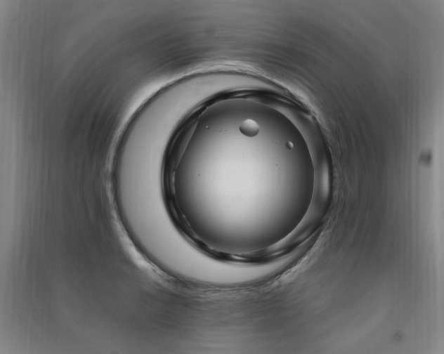 X0000091491038200708161434