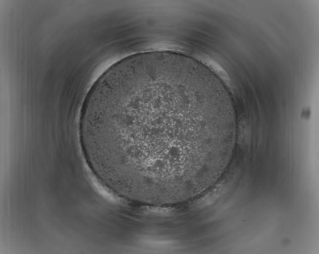 X0000091491039200708161434