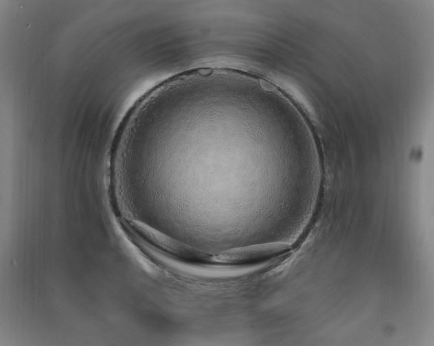 X0000091491040200708161434