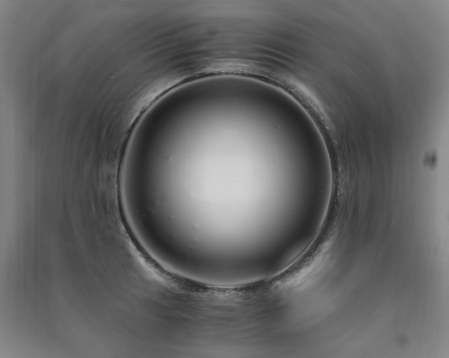 X0000091491041200708161434