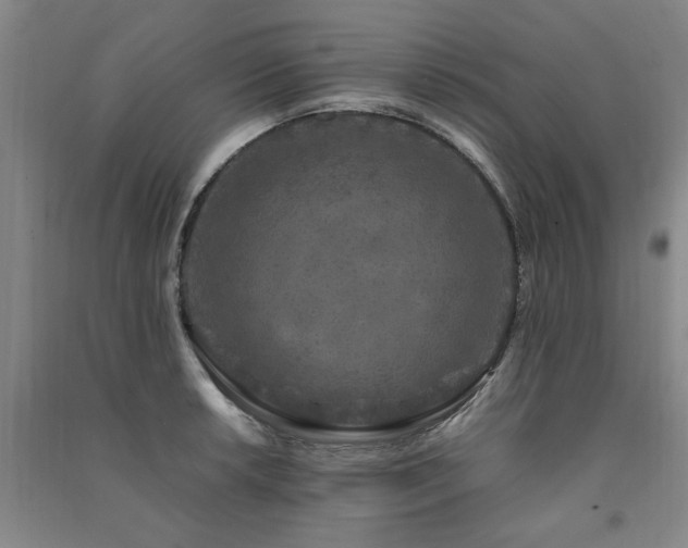 X0000091491042200708161434
