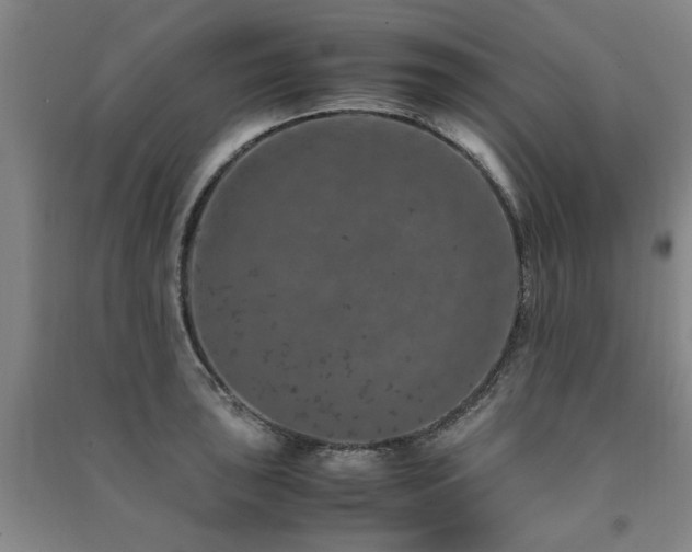 X0000091491043200708161434