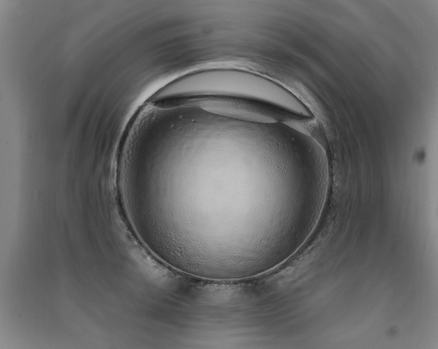 X0000091491044200708161434