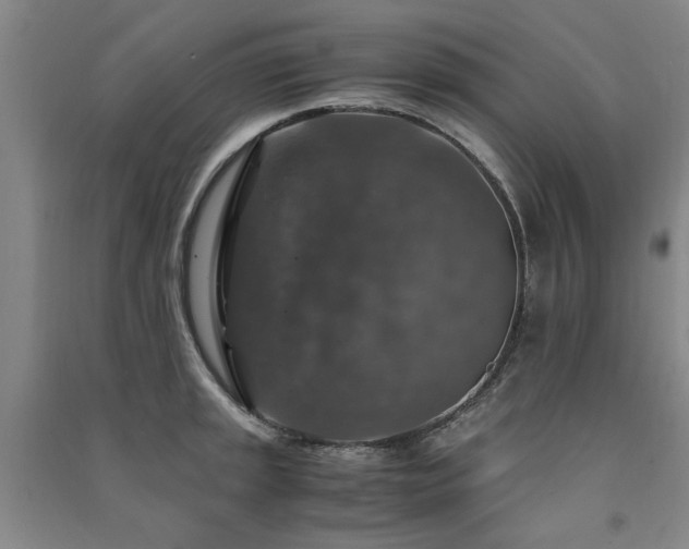X0000091491045200708161434