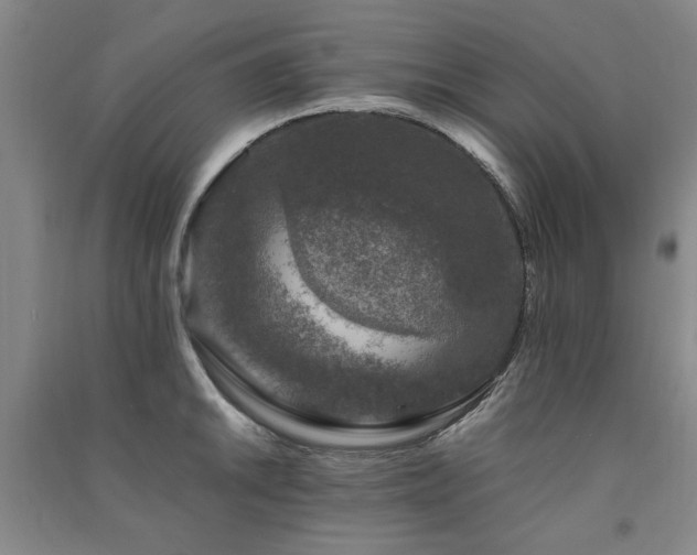 X0000091491046200708161434