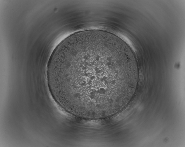 X0000091491047200708161434
