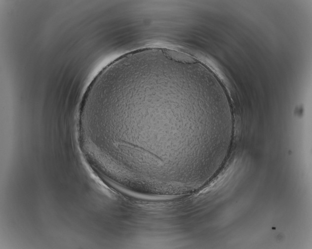X0000091491048200708161434
