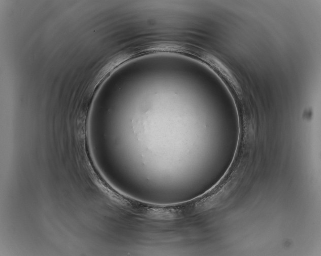 X0000091491049200708161434