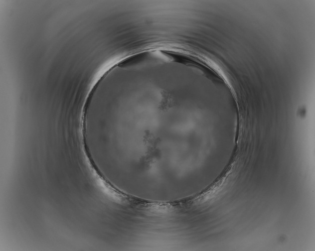 X0000091491050200708161434